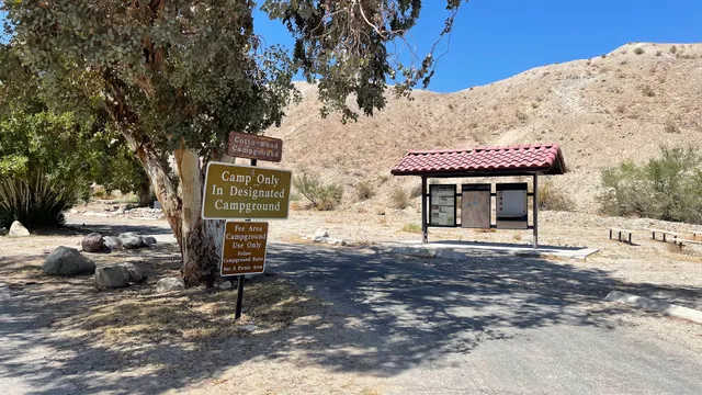 Cottonwood Cove Lower Campground