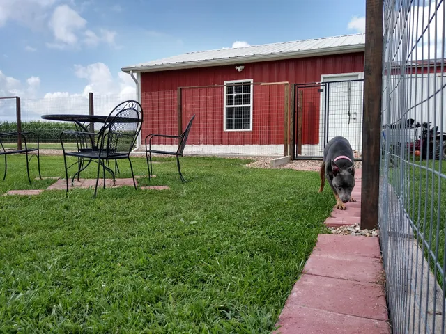 Rockwell Kennels Pet Boarding