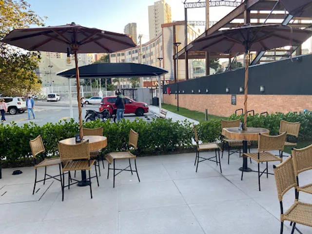 Madero Container Augusto Tolle