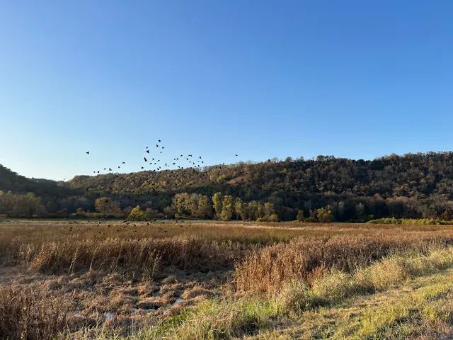 Whitewater Wildlife Management Area - Main Branch Unit