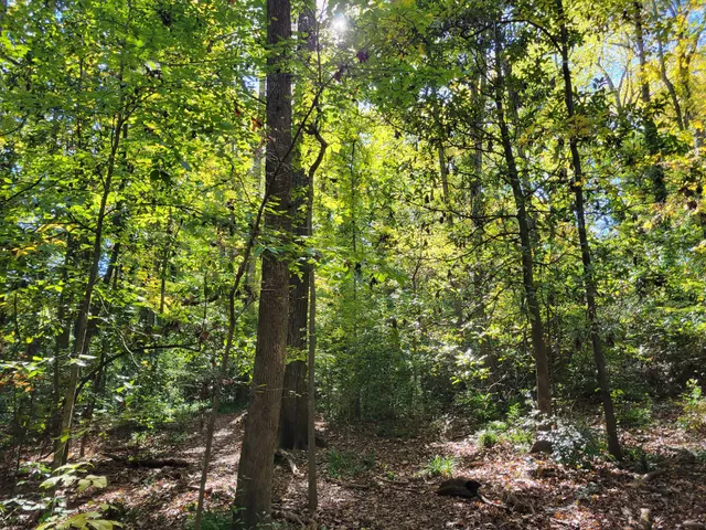Glenn Creek Nature Preserve