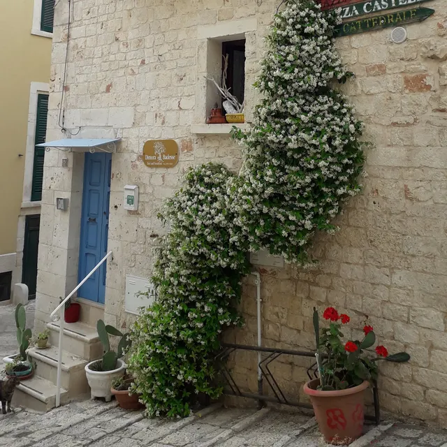 Dimora delle Badesse