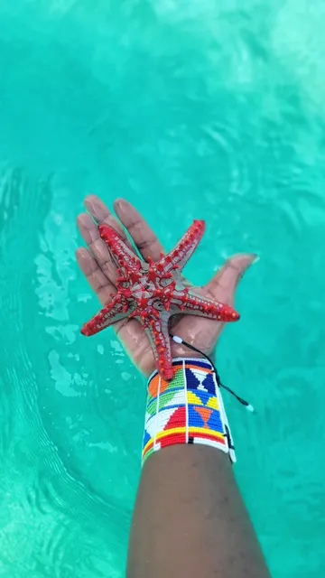 Lubaacris tours & Safaris