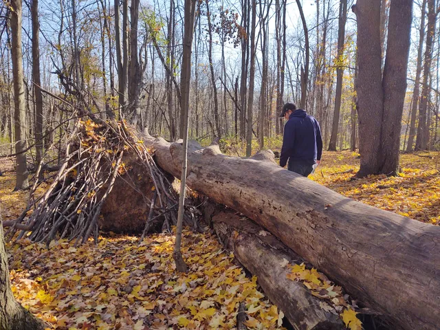 Johnny's Treasure Quest