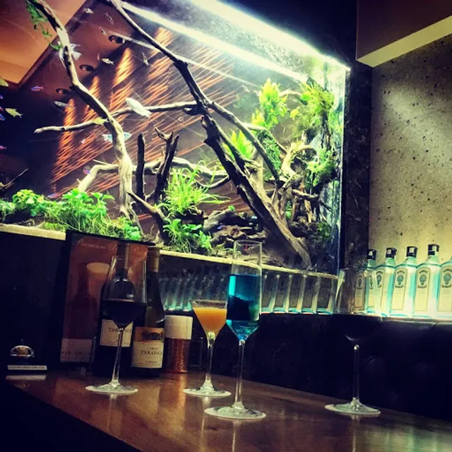 隠れ家イタリアン AQUARIUM CAFE Affinity 海老名