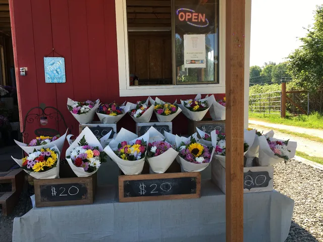 Sweet Blissful Blooms