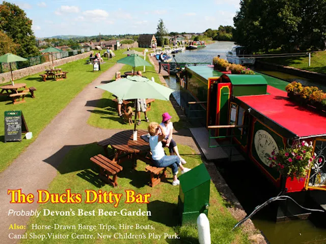 Ducks Ditty - Bar