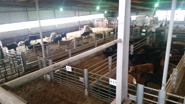 United Producers Inc