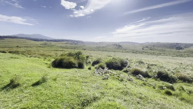 Horton Plains - Sri Lanka