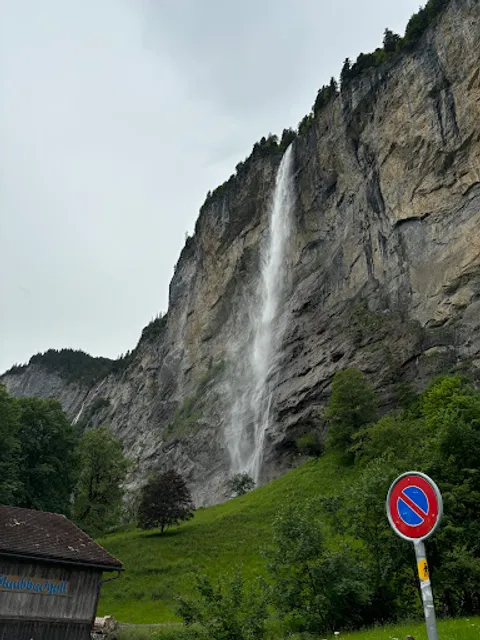 Augentraining und Augenentspannung Mara Fries