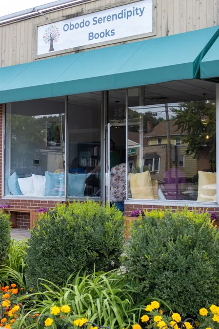 Obodo Serendipity Books