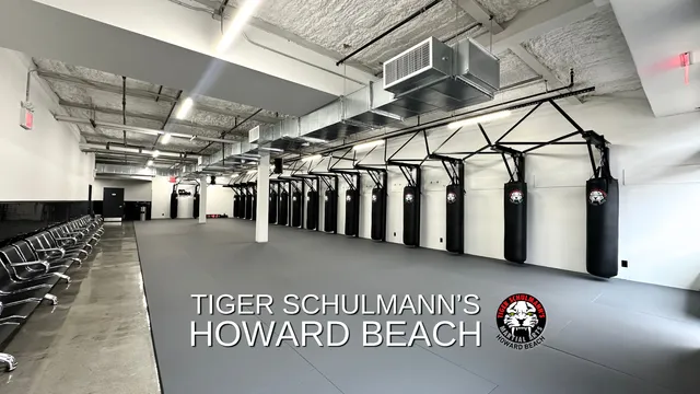Tiger Schulmann's Martial Arts (Howard Beach, NY)