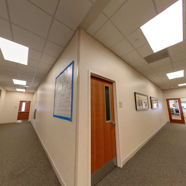 South University, Austin