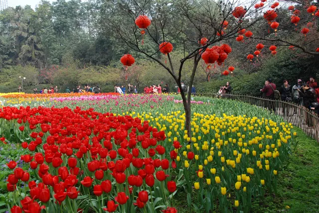 Chongqing Flower Garden