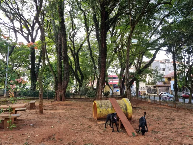 Cachorródromo Parque Domingos Luís