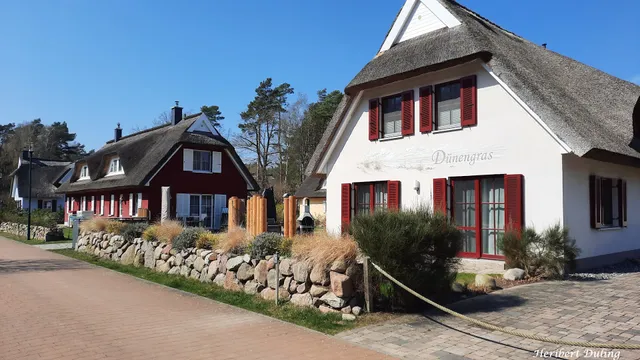 Ferienhaus Dünengras
