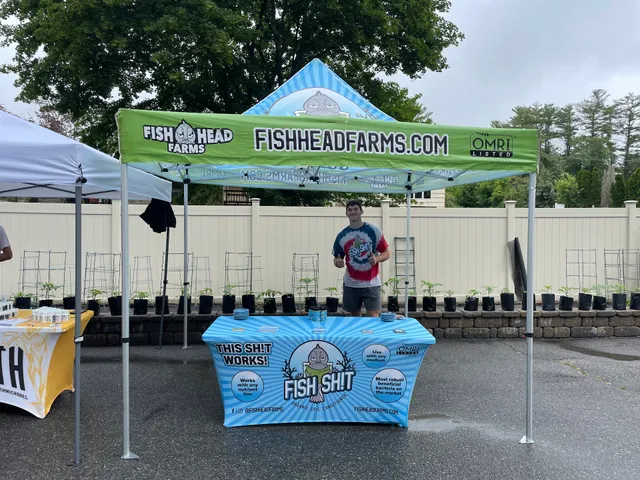 Green Matters Taunton