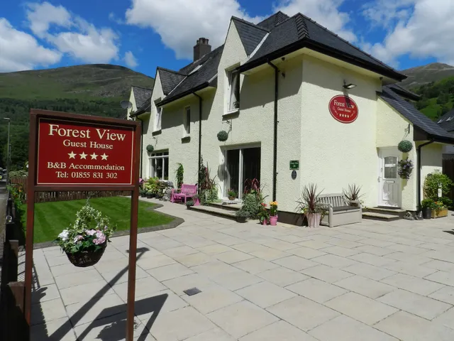 Forest View Guest House