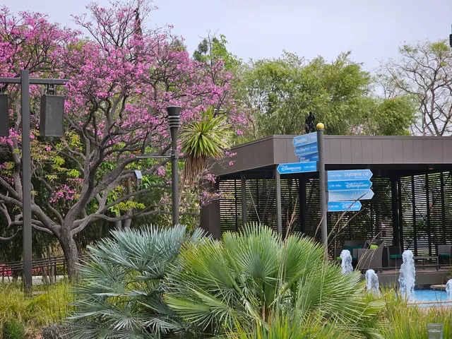 Walt Disney Imagineering