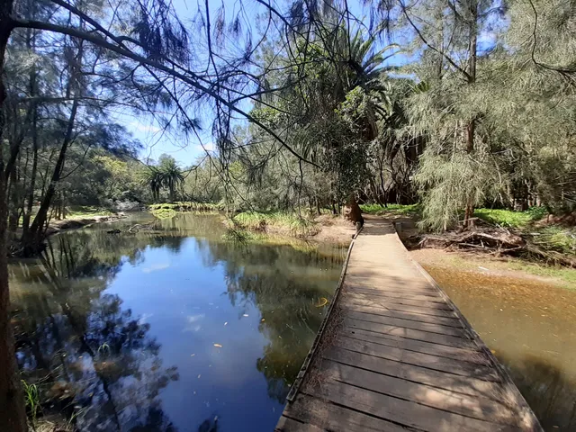 North Arm Walking Track