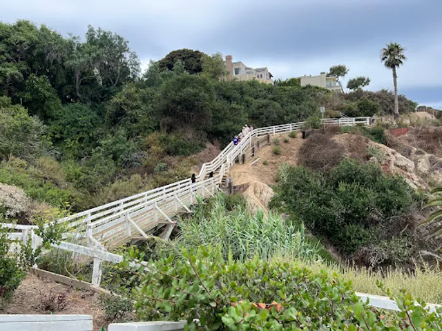 Coast Walk Trail