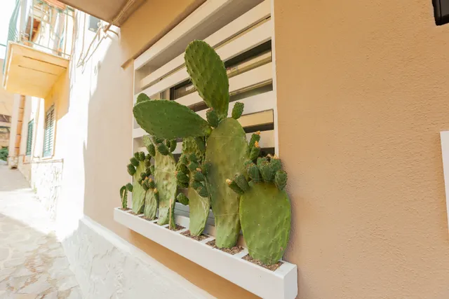 Chianu Palì - Guest rooms - Affittacamere con bagno privato