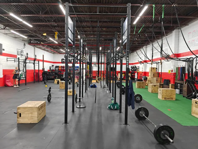 CrossFit Gantry