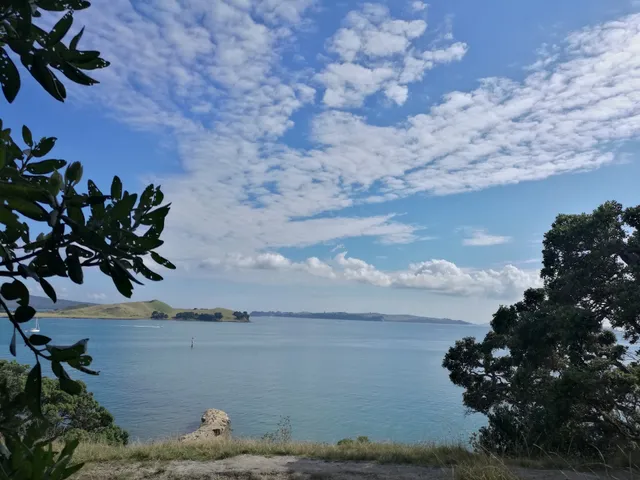 Waiheke Sea Scouts