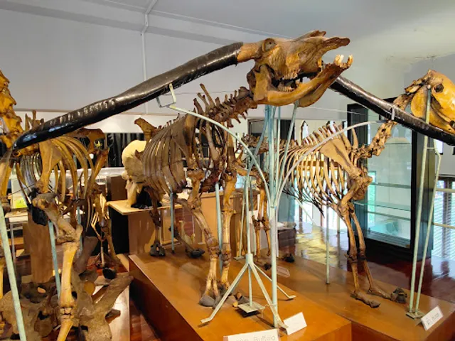 Chulalongkorn University Museum of Natural History