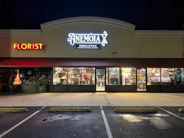 Anemoia Mercantile | Stationery, Crafts, and Gifts