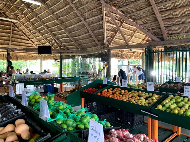 Tropical Village Farm