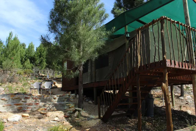 Otium Oasis Glamping and Camping