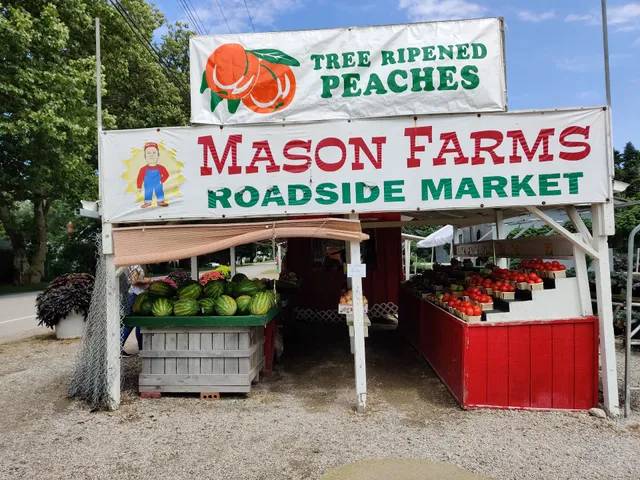 Mason Farms Roadside Farm Market