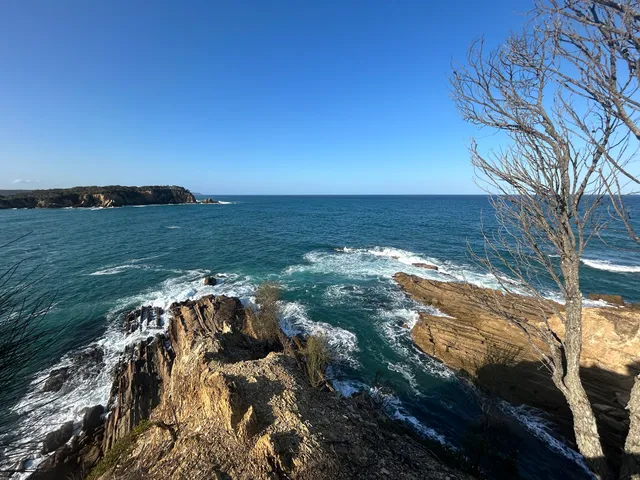 Tathra Headland