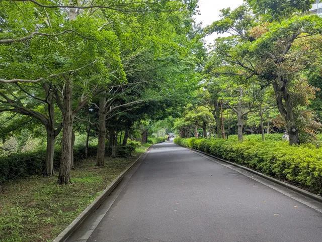 Shin-Nagashima River Water Park