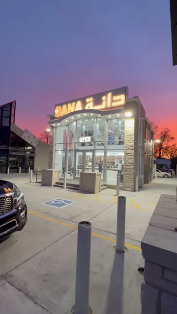 Dana gold and jewelry