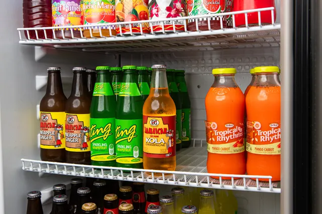 Reggae Vybz Griffin II