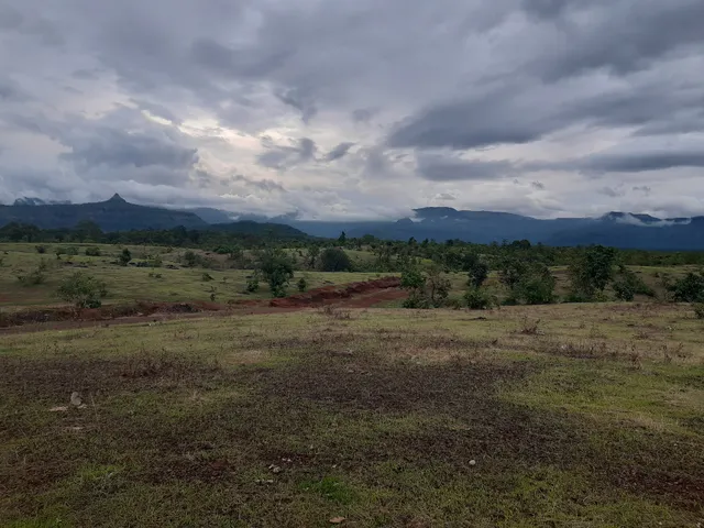 Savli Farm's Nature Retreat and Adventures