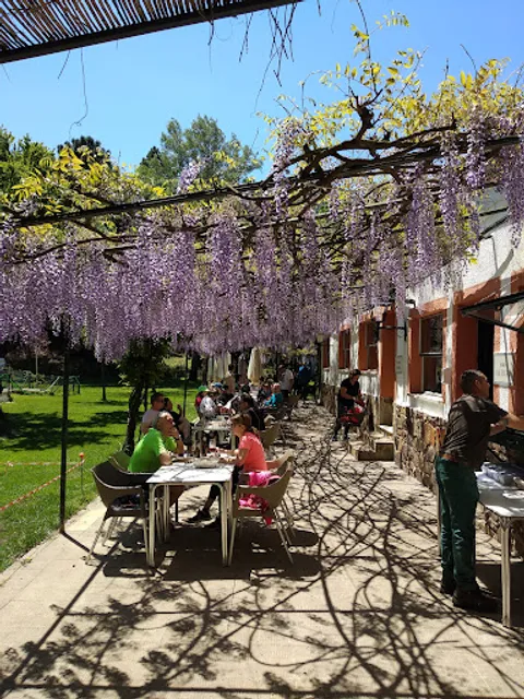 Nuevo Complejo Los Azores