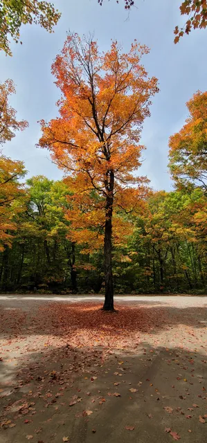 Canisbay Lake Campground