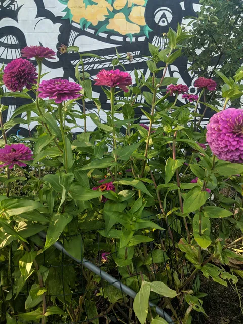 Conkling Street Garden