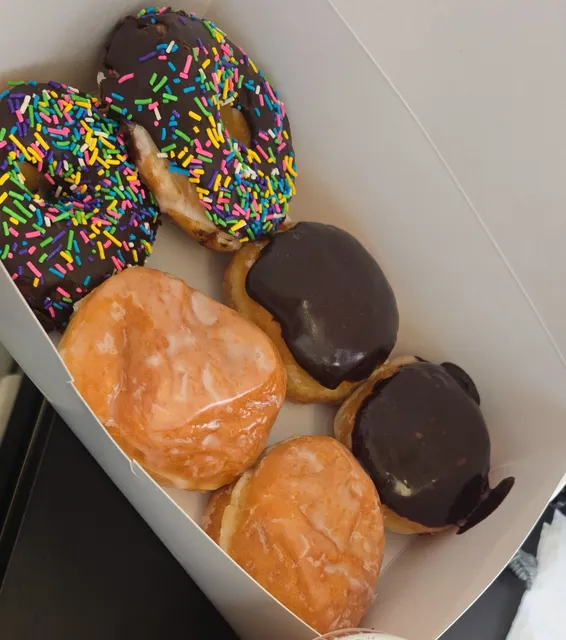 Blackbird On The Fly