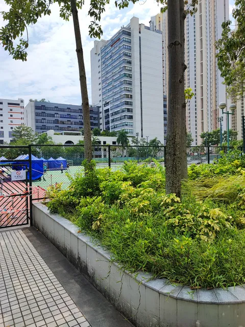 Ngau Pei Sha Street Playground