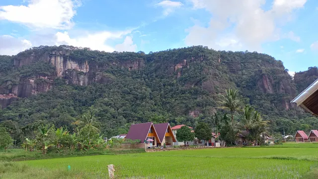 Kampung Eropa Harau