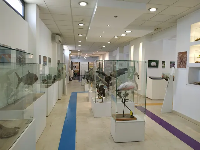 Natural History Museum of Montenegro