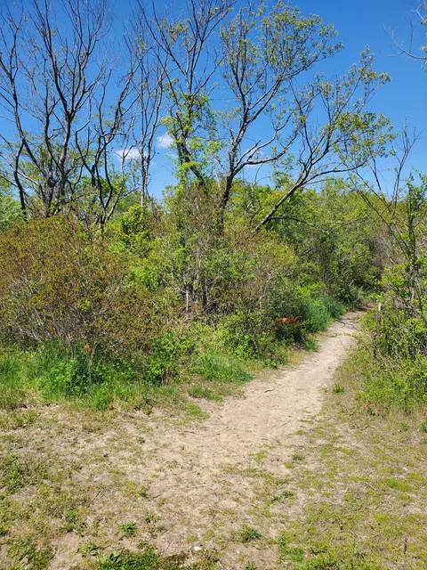 Norton Basin Natural Resource Area