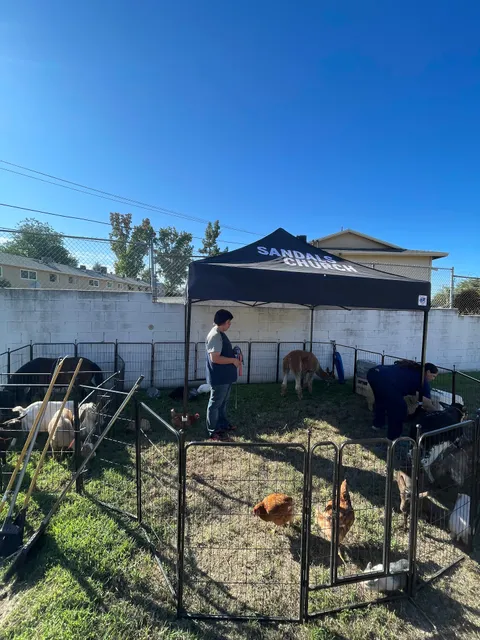 The Party Pets Mobile Pony Rides And Petting Zoo- We Come To You.