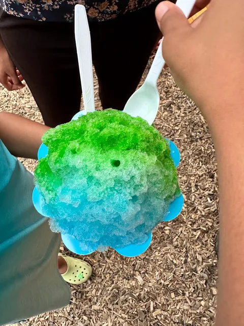 Bear's Shaved Ice