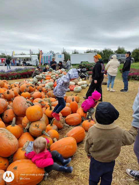 Beasley's Orchard