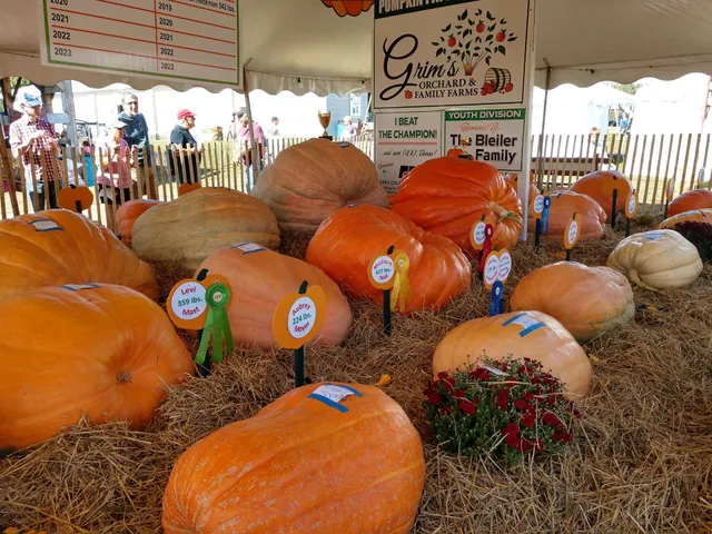 Oley Fire Company Fairgrounds